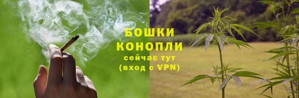 ГАЛЛЮЦИНОГЕННЫЕ ГРИБЫ Арсеньев