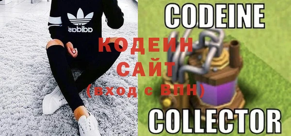 ГАЛЛЮЦИНОГЕННЫЕ ГРИБЫ Арсеньев