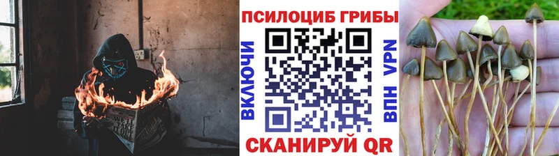 ссылка на мегу tor  купить наркотики цена  Пойковский  Галлюциногенные грибы ЛСД 